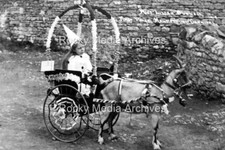 Tvw-65 Goat Cart, First Prize, Carnival, Hawkesbury, Gloucestershire. Photo