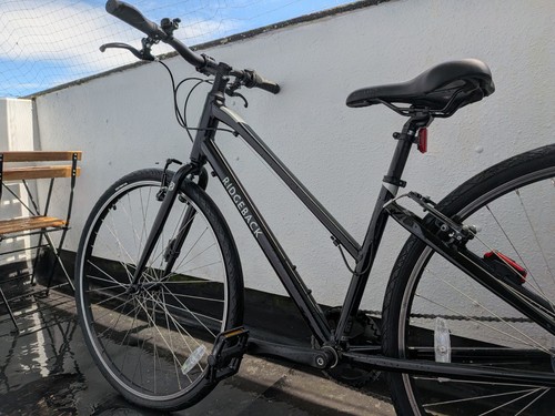 Ridgeback comet - ridgeback,
