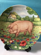 Cornflower - Devon Lop -  Pig