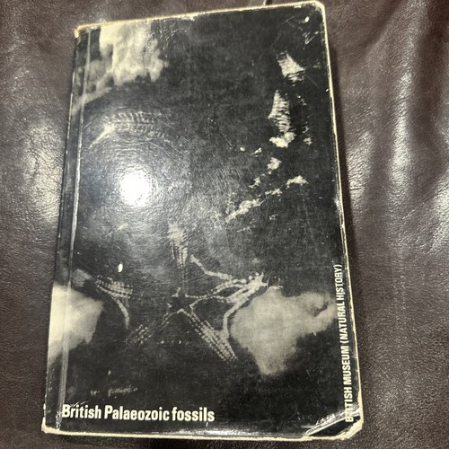 The british palaeozoic fossils - the,