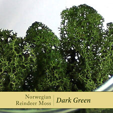 Dried Reindeer Moss | Dark Green Perfect for air plants, terrariums & Crafts 25g
