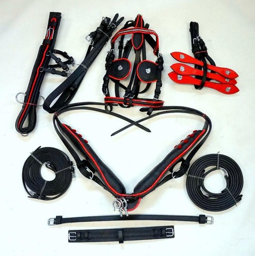 Pony driving harness - driving, or