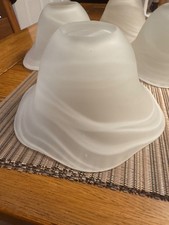 Clip on  lamp shades frosted
