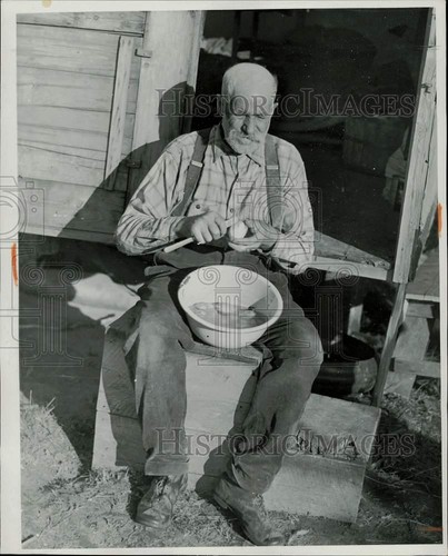 1938 press photo blueberry - 1938,