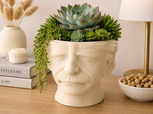 Albert einstein head planter - albert,