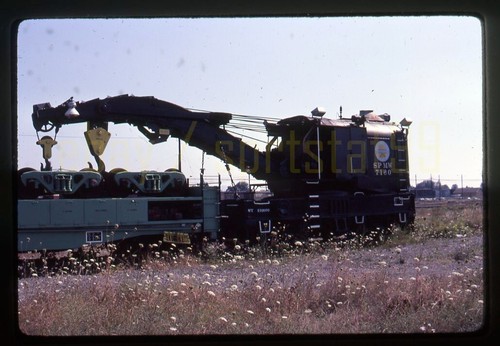 Southern pacific crane - southern,