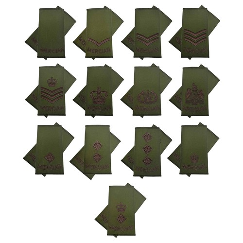 Mercian regiment rank slides - mercian,