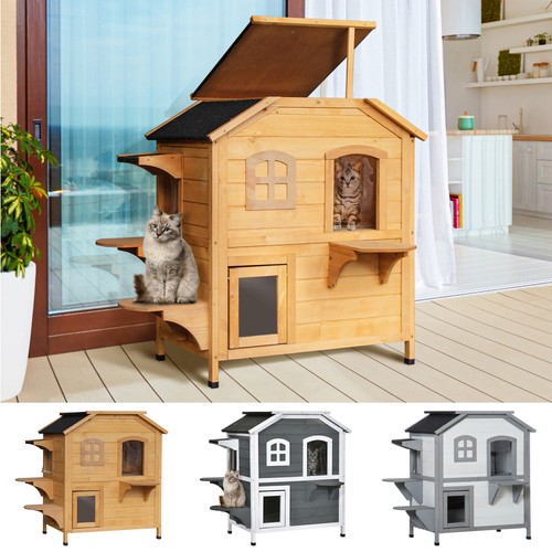 Cat condo tons - cat, &