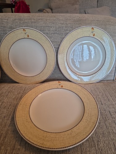 Wedgwood sarah s garden - 3,