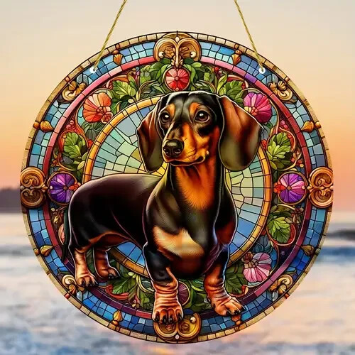Dachshund doxie sausage dog - doxie,