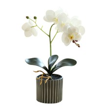 Artificial Plant Bonsai Fake