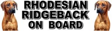 RHODESIAN RIDGEBACK ON BOARD