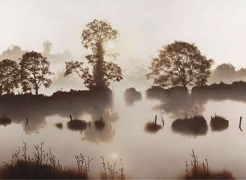 John waterhouse reflections - waterhouse, 'reflections
