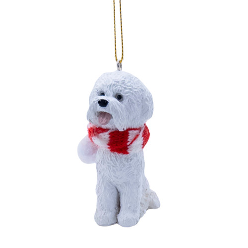 Bichon frise white - puppy, dog