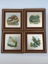 Vintage Stainless Steel Hessian Framed Wildlife Owl Hedgehog Otter Red Kite Pics