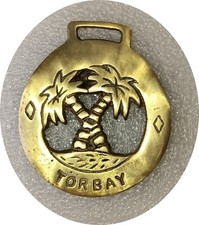 PALM TREES - TORBAY - DEVON  horse brass (8175)