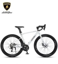 Lamborghini Road Bike type