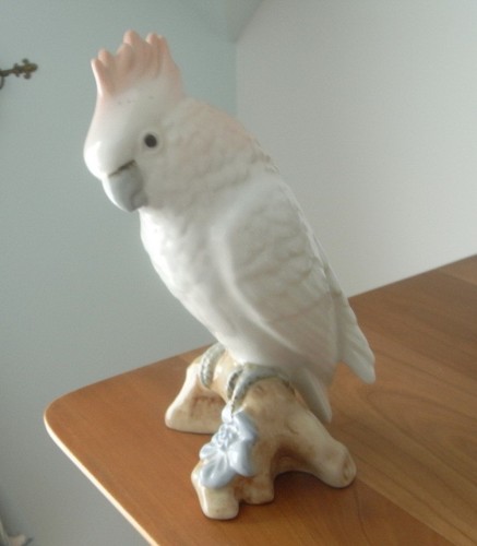 Royal dux parrot - dux, parrot/cockatoo