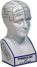 Phrenology Head L.N fowler