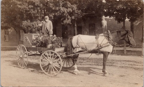 Lucknow ontario old jack man - lucknow, jack'