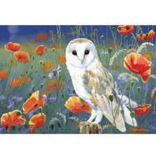 Otter House Watching & Waiting