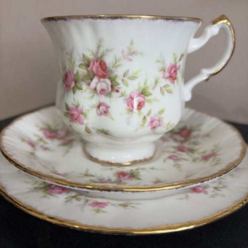 Paragon victoriana rose - paragon,