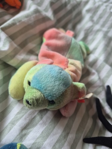 Original beanie baby sammy - original, ty