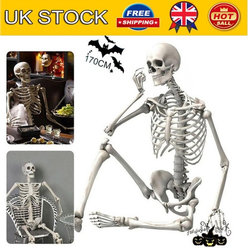 Halloween poseable skeleton - halloween,