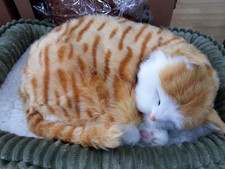 Precious Petzzz orange tabby cat in basket, battery operated (inc) pre owned.