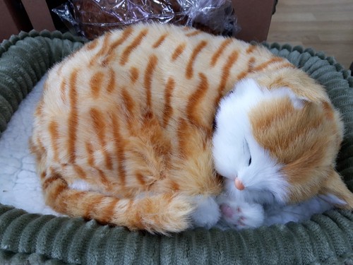 Precious petzzz orange tabby - orange,