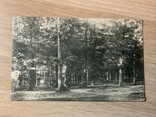 “PERRY WOOD - NEAR