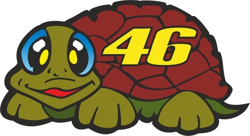 Valentino rossi tortoise - 46,