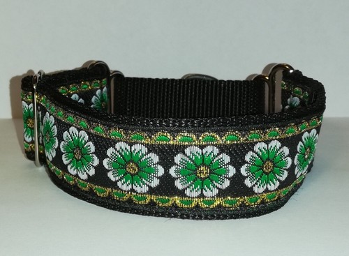 Martingale dog collar - dog,