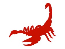 Scorpion Silhouette Scorpio