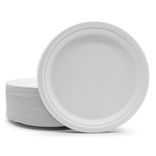 Bagasse Paper Plates 6 / 7 / 9