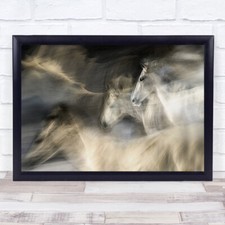 In Motion Action Speed Horse