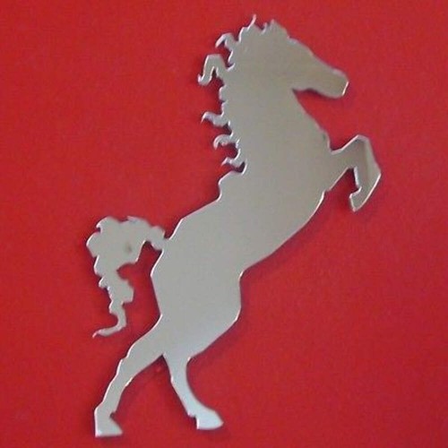 Horse rearing mirror - horse,