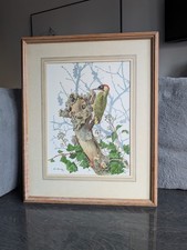 G.L. Grandy Green Woodpecker