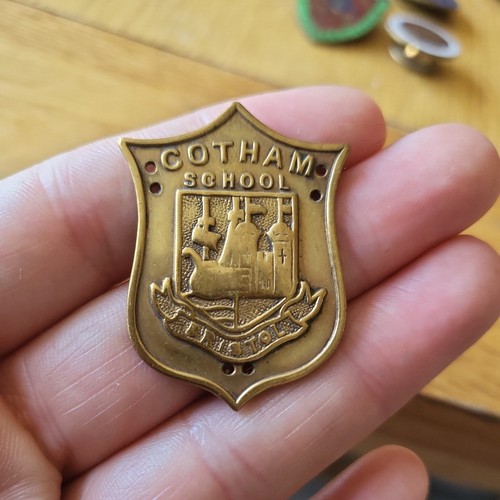 Cotham school bristol - bristol, badge