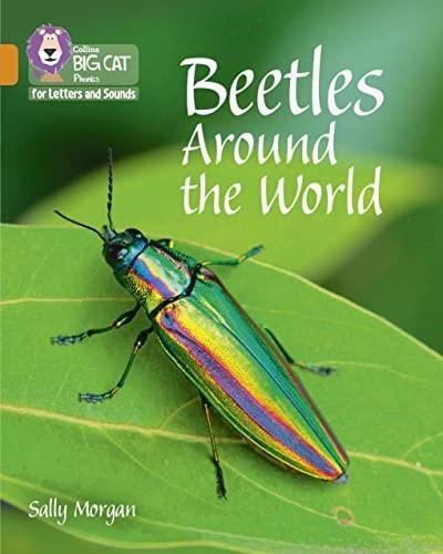 Beetles around the world - around, world: