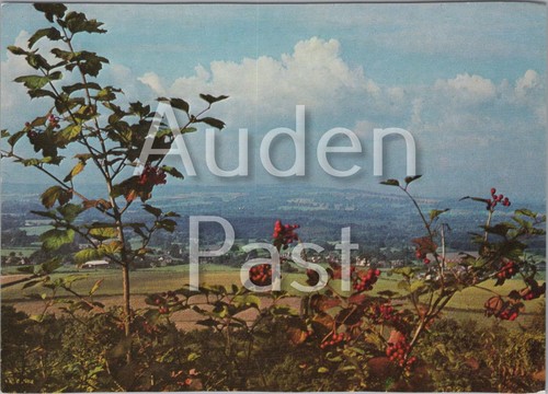 Looking towards blackdown west - blackdown,