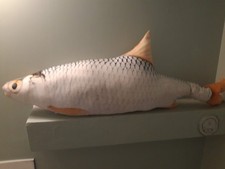 Large cuddly / stuffed fish. 