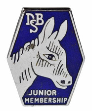 Vintage Old The Donkey Breed