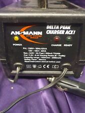 Ansmann Delta Peak Charger