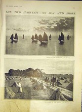 Old Antique Print Harvest Sea