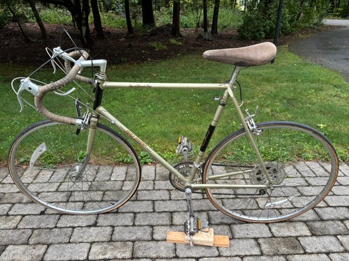 Raleigh super grand prix - grand,