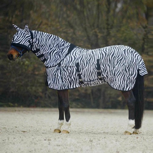 New amazing zebra - zebra, fly