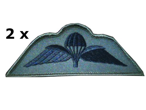 Parachute regiment - parachute,