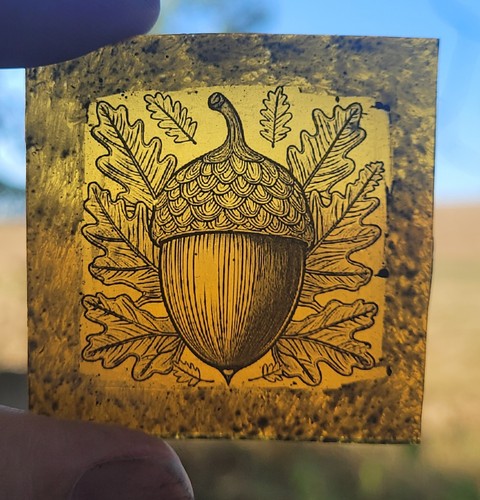 Stained glass acorn painted - glass,