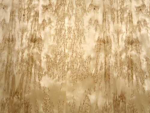 Birch burl veneer wood - birch,